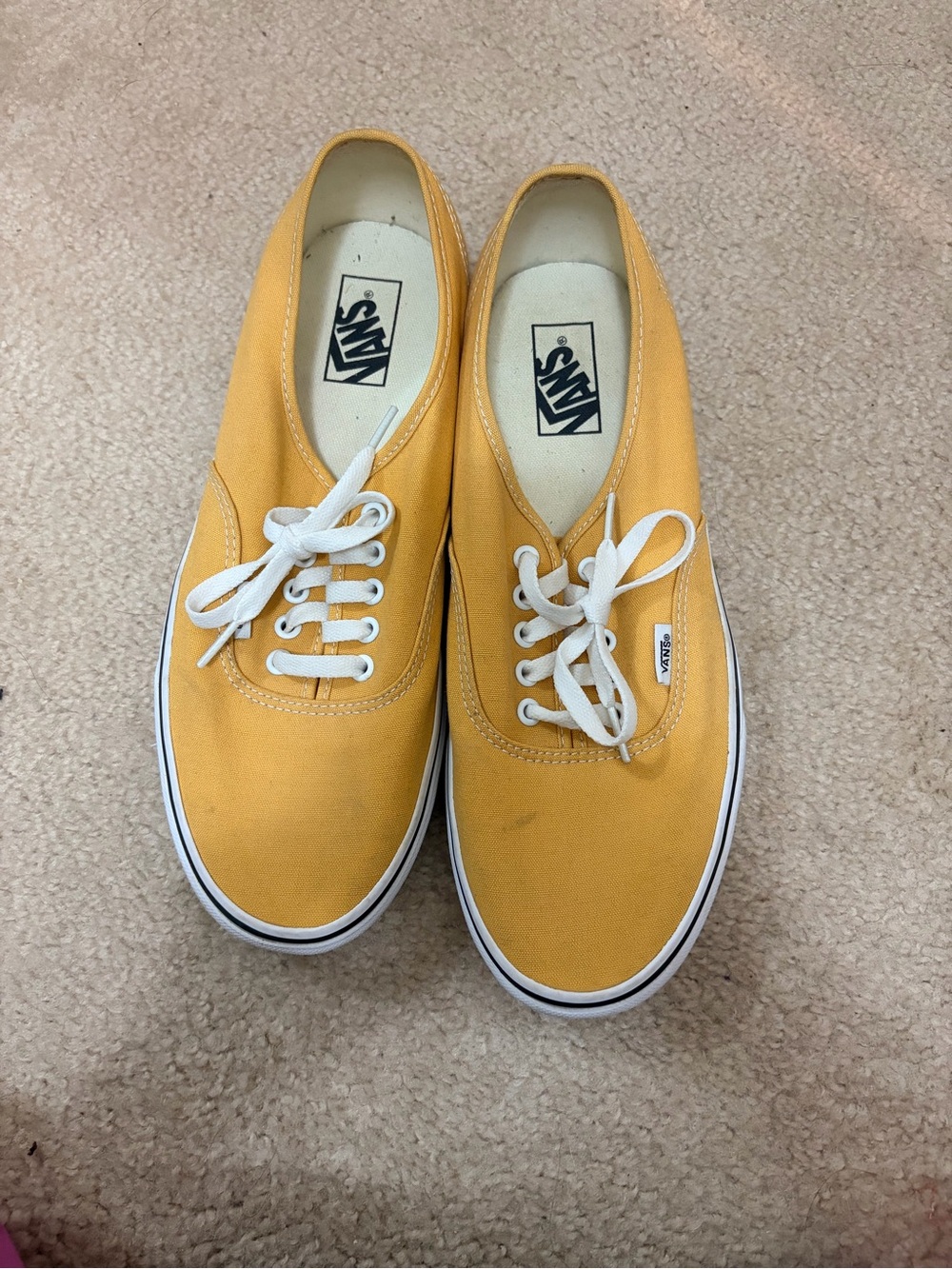 VANS Premium Authentic Shoe